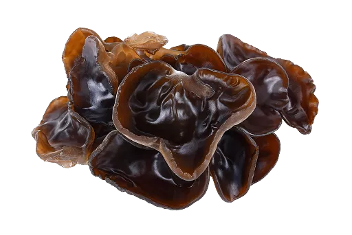 <p>Black Fungus</p>