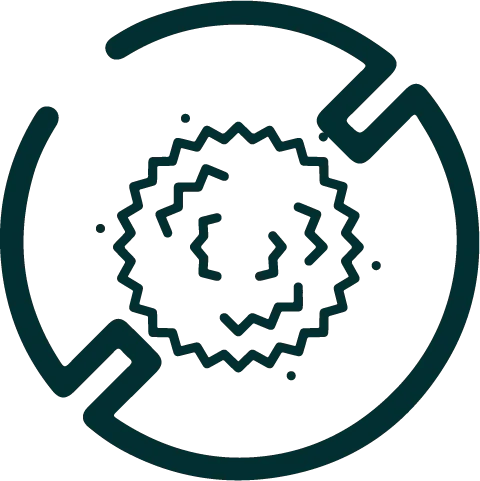 <p>Allergen Free</p>